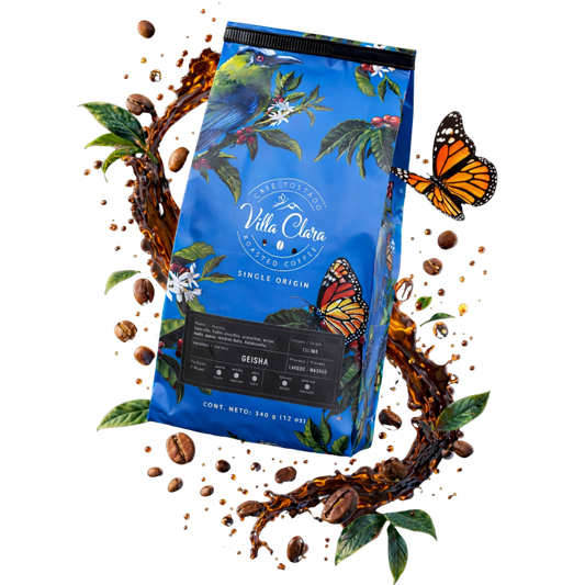 CAFÉ GEISHA / LAVADO